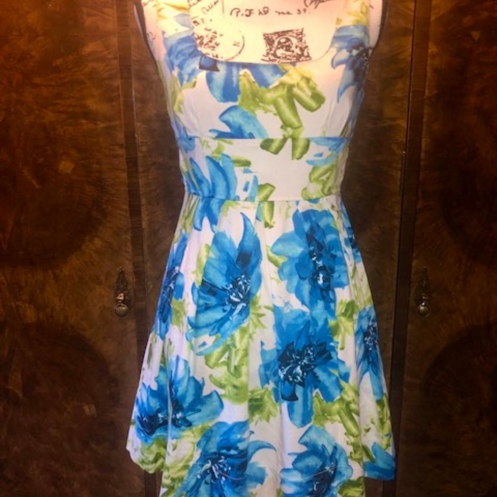 Alyn Paige New York Blue & Green Floral Mini Dress